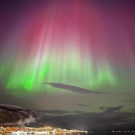 Rom Sentralt I Tromso Apartment Luaran gambar