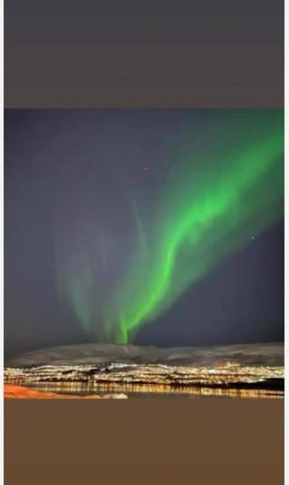 Rom Sentralt I Tromso Apartment Luaran gambar